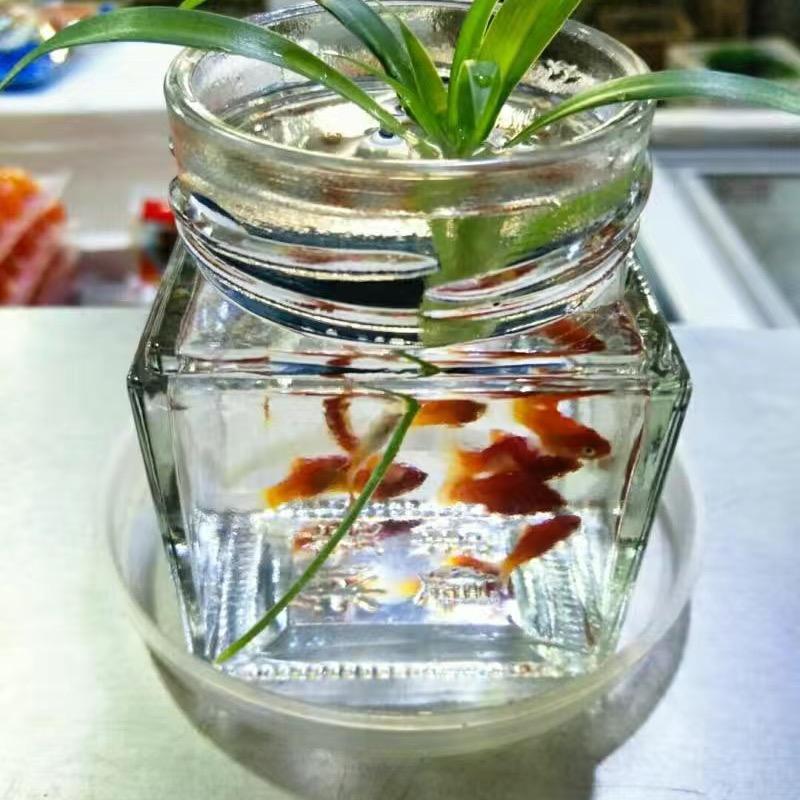 雨哥⁵⁵²¹¹୧⍤⃝🌺壹圆a