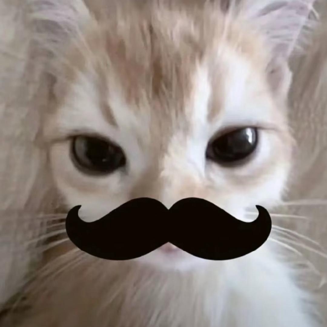 lilili33_
