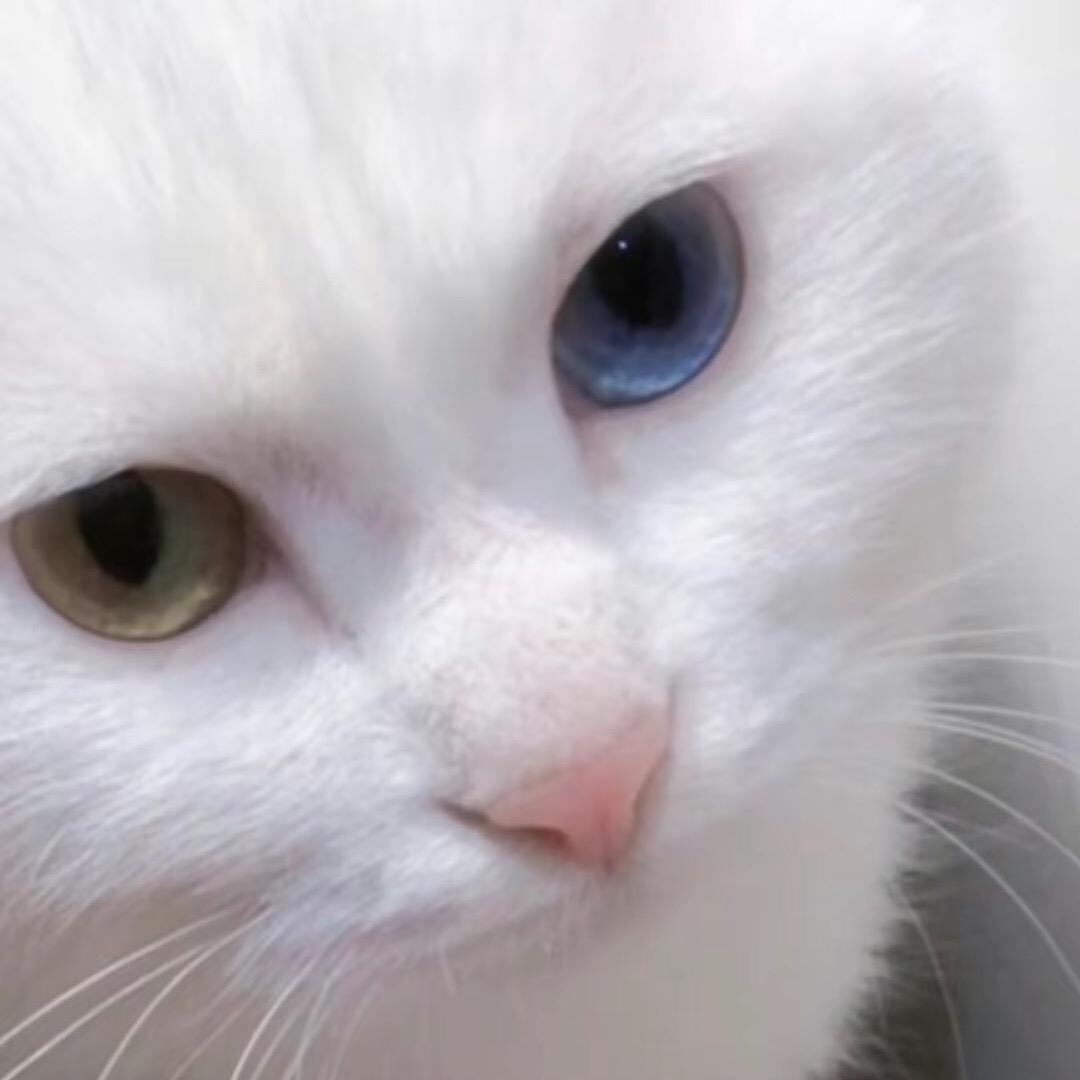 💓快到碗里来💓