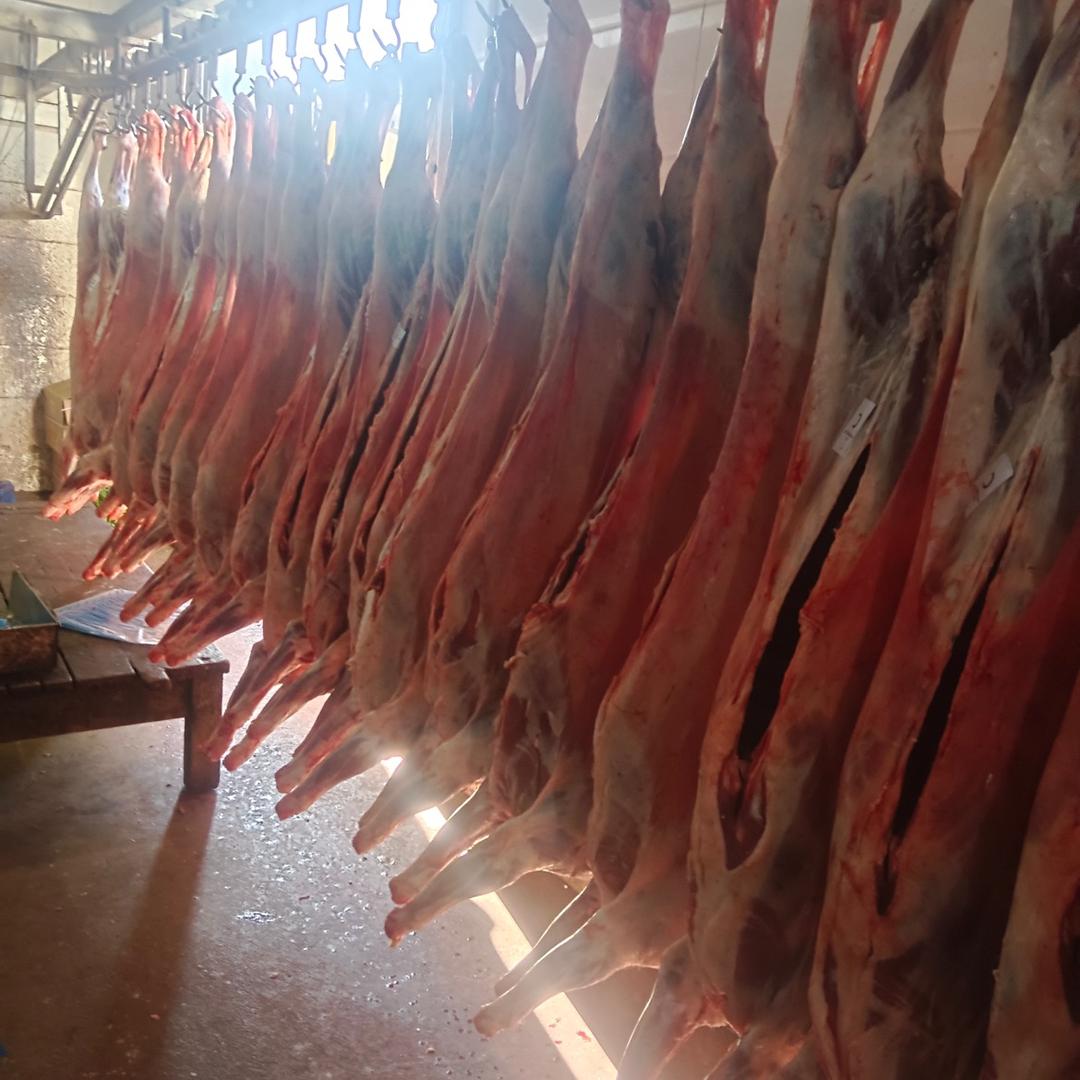 清真沙涛牛羊肉批发