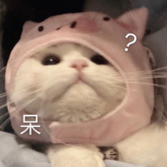 初遇.