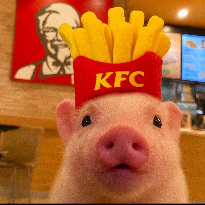 小王不吃姜ρʕ•̫͡•ʔϠ