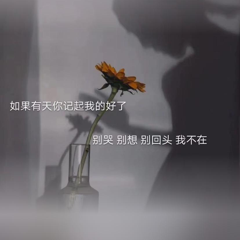 不怕 我会一直在～