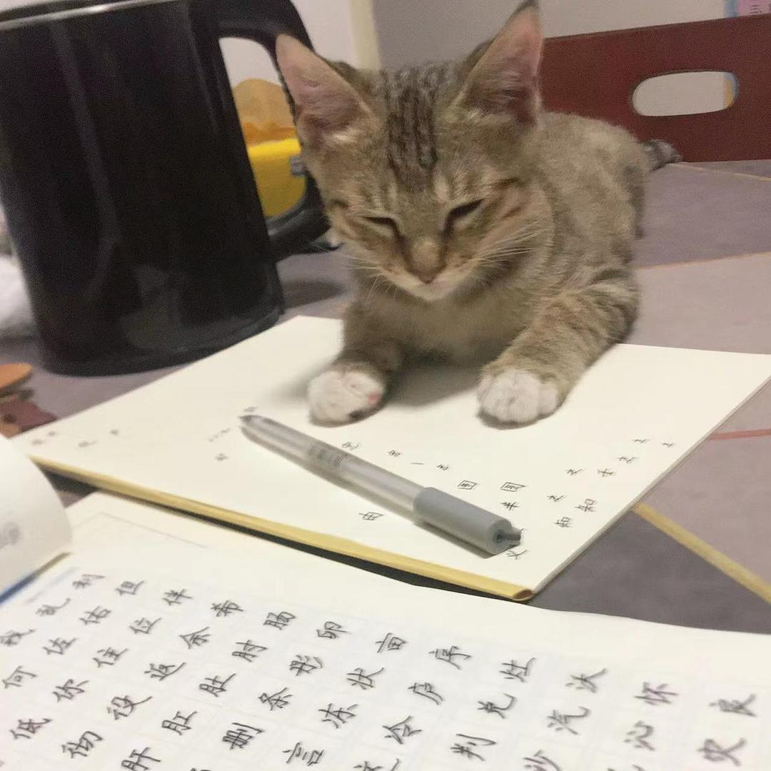 @莉莉