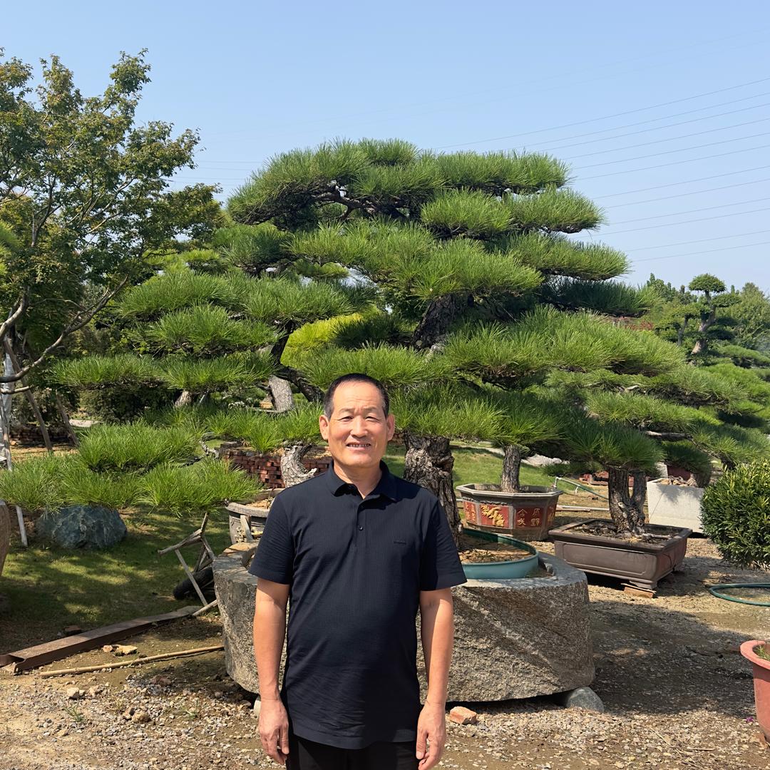 青州市鸿利绿化苗木专业合作社