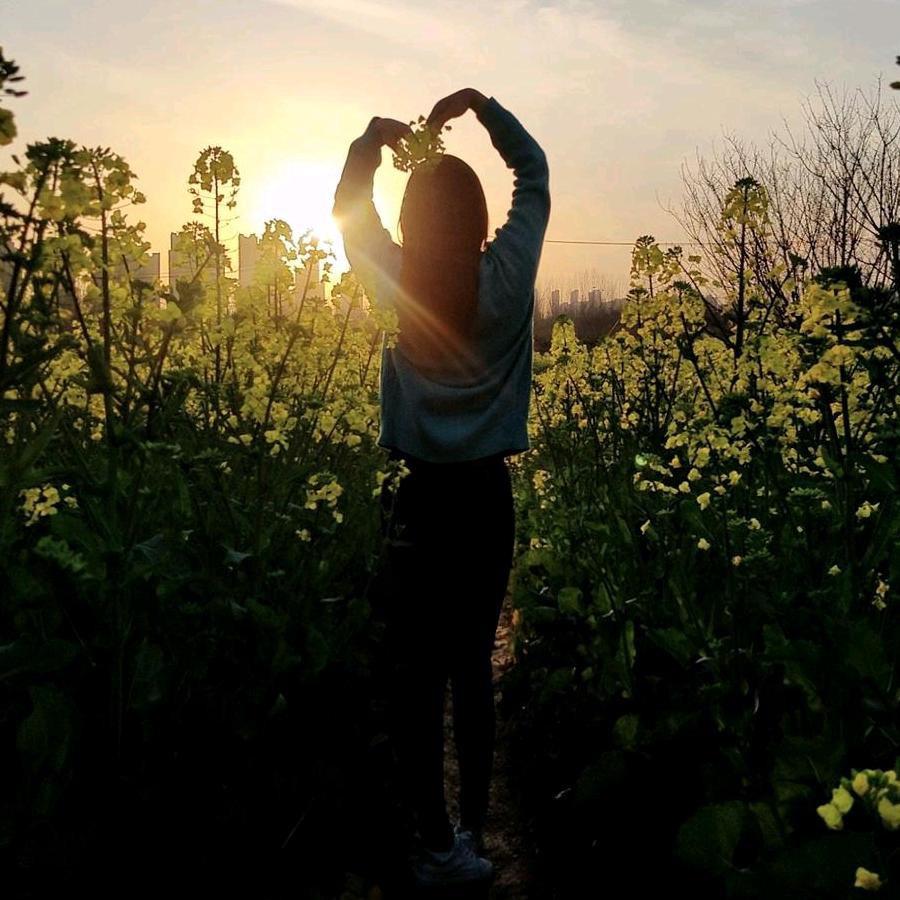 @Aa💃 终遇