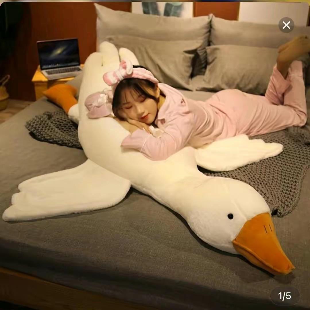 又见佰鹏