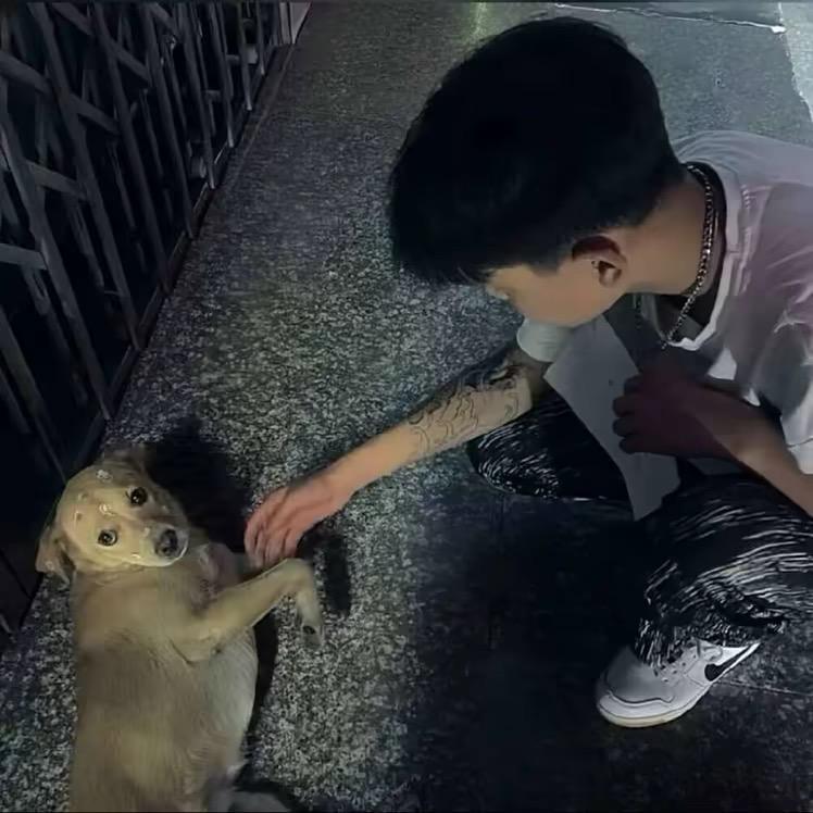 我要拿冠军🏆