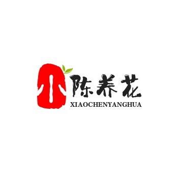 小陈养花