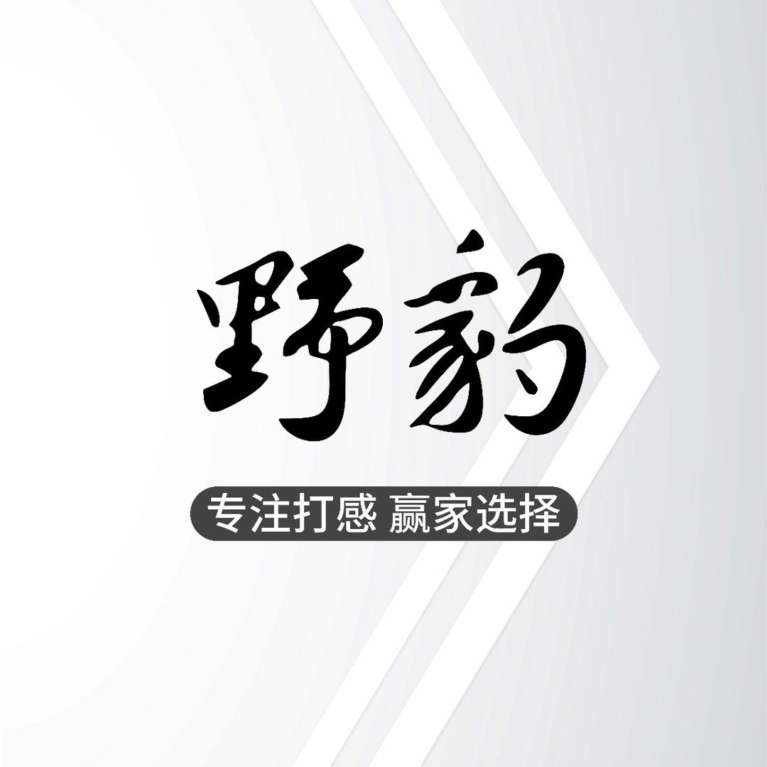 野豹台球器材