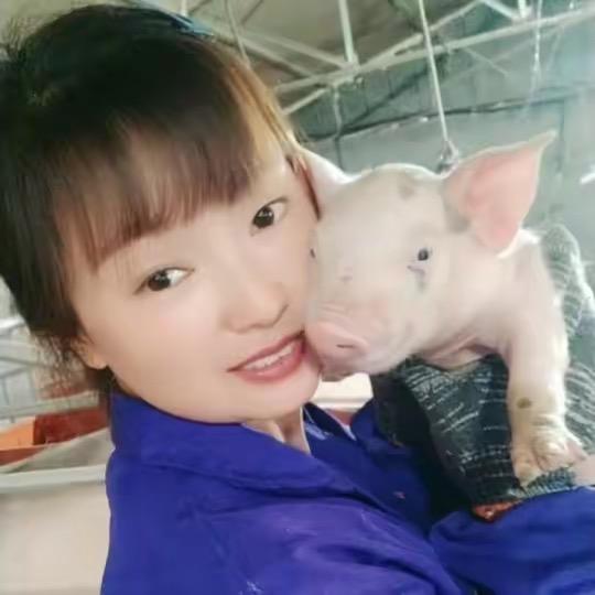 四川养猪妹(收徒弟)主播