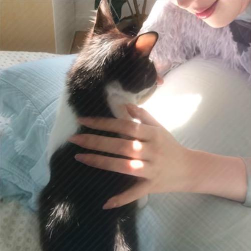 派大星教授       🕷️