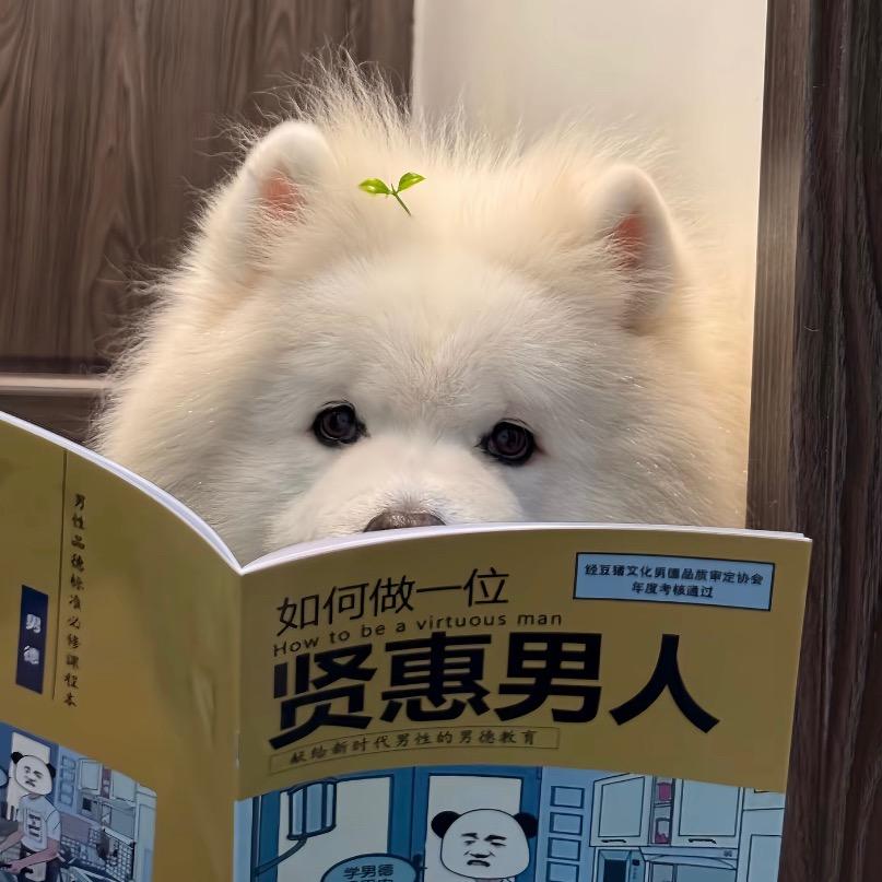 汤圆
