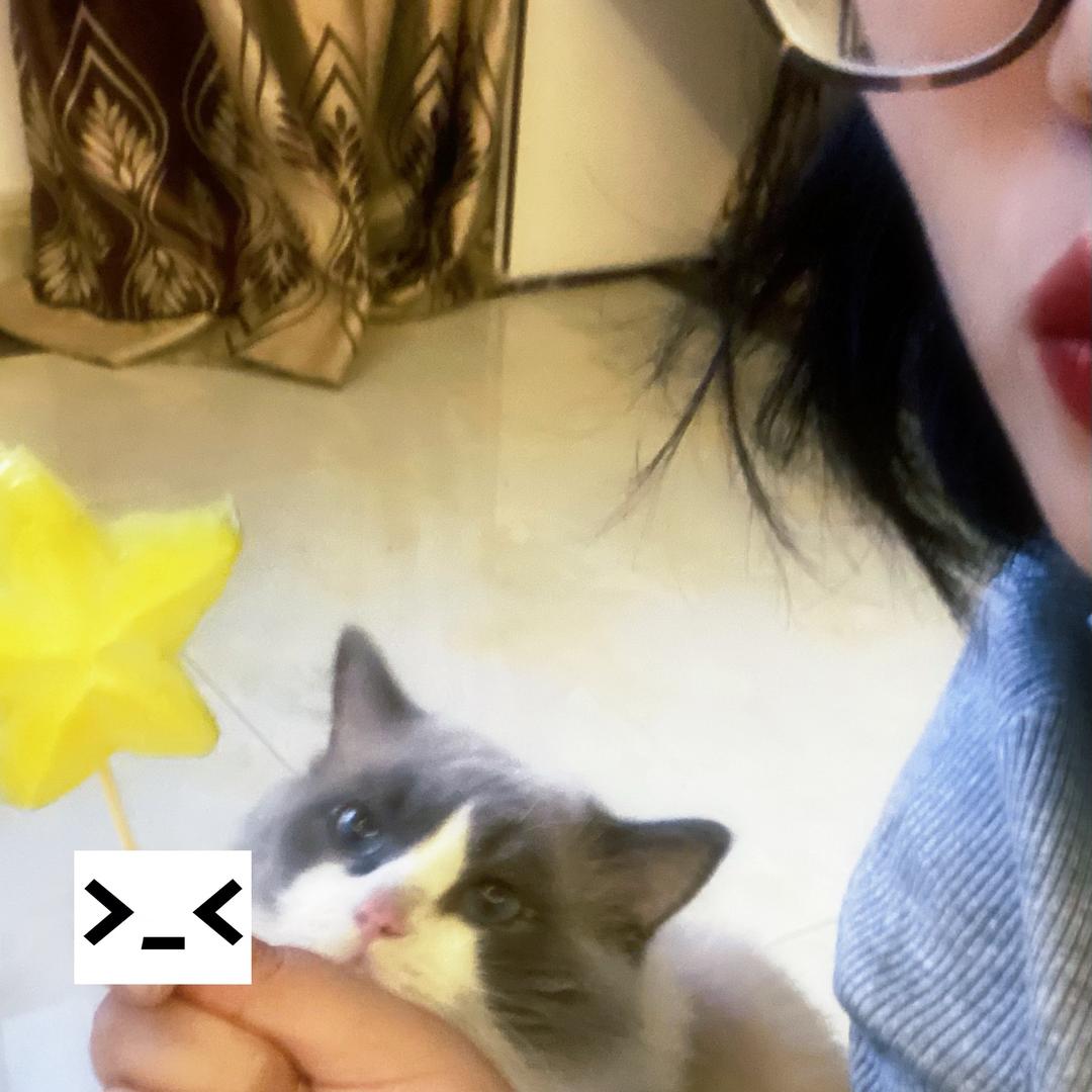 哔哩哔哩不想说话