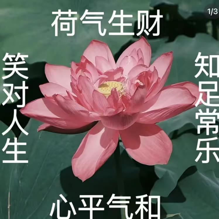 请不要暴躁