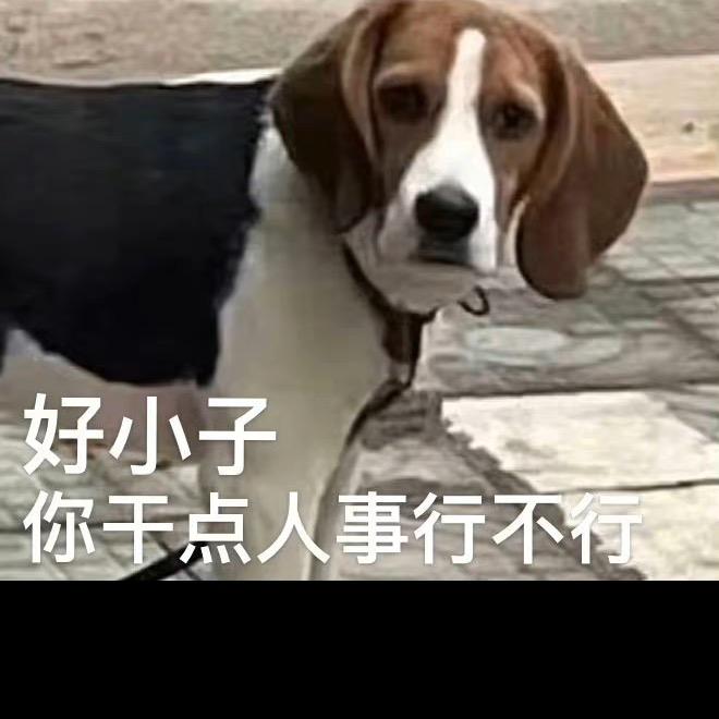 下辈子换双脚👣