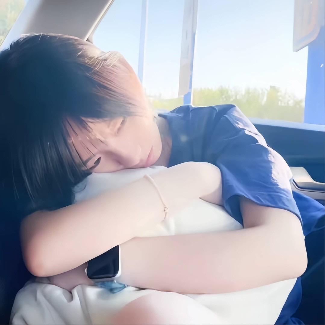 菠萝吹雪ㅤ