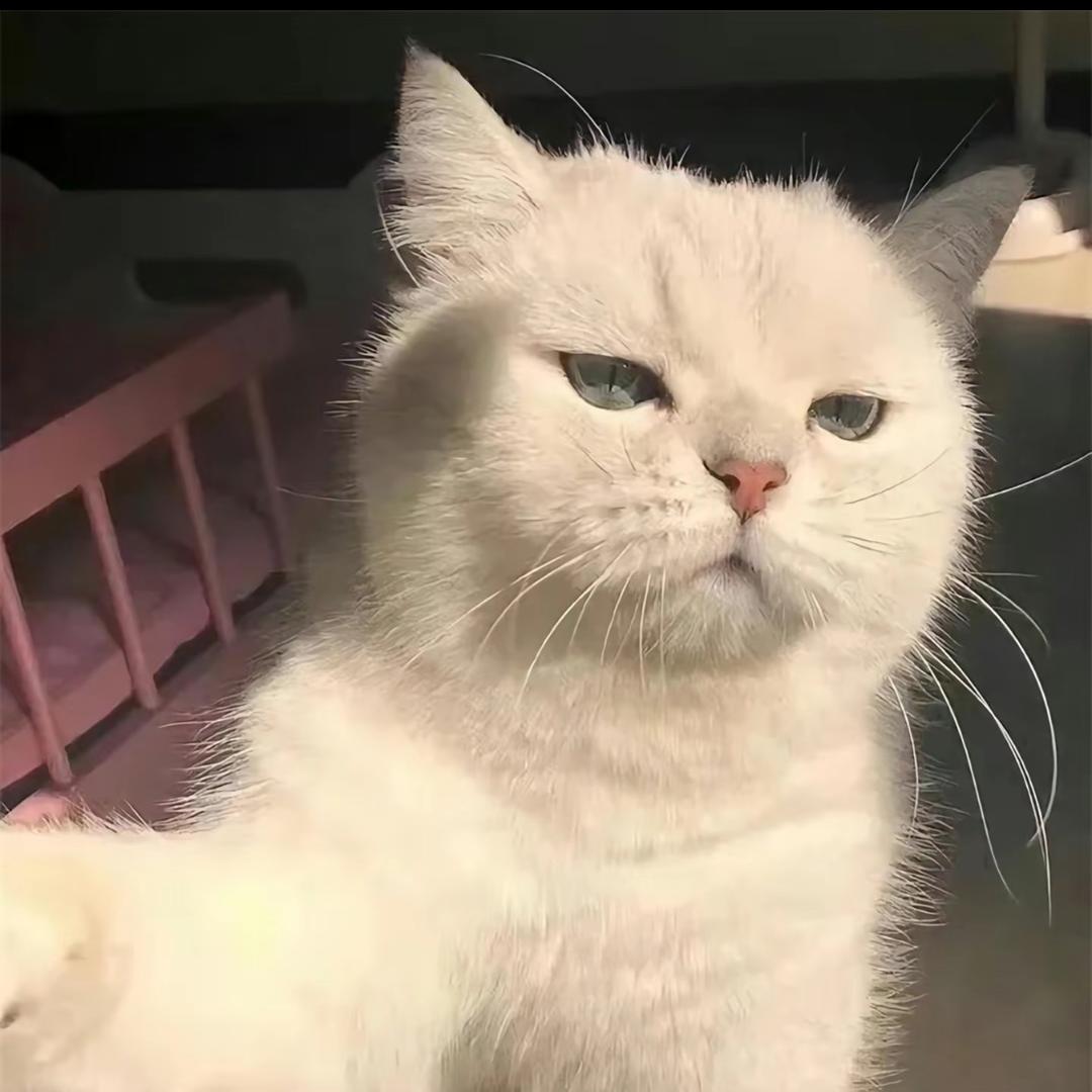 社会主义核心价值观