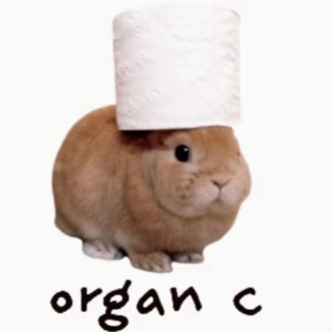 变身章鱼一巴掌打八人