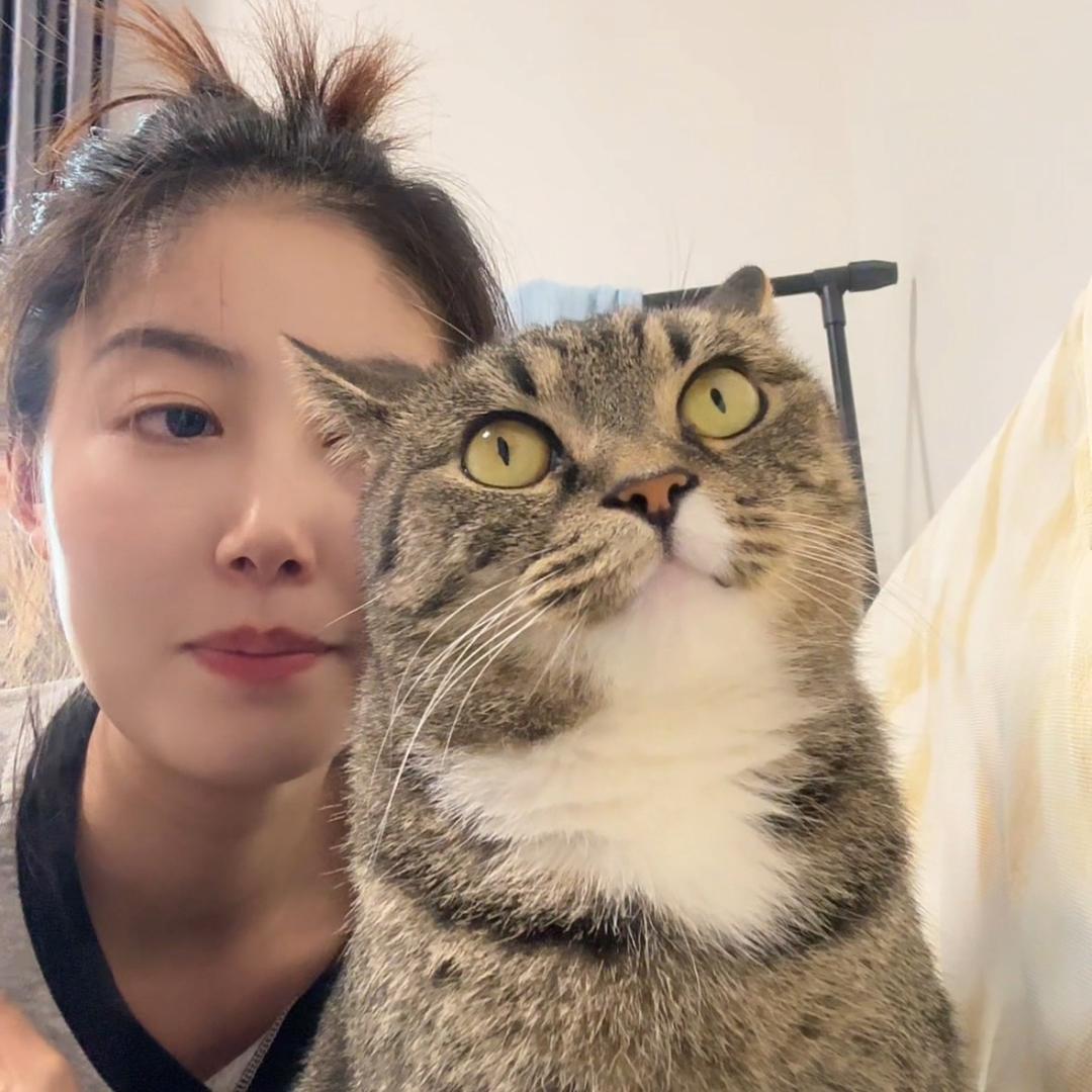 梨花哪有小猫香