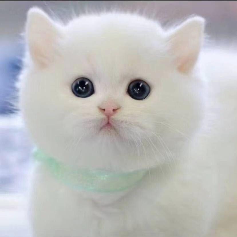 💔⃟谢你ꦻꦼ绝꯭情ꦿꦁ᭄࿐