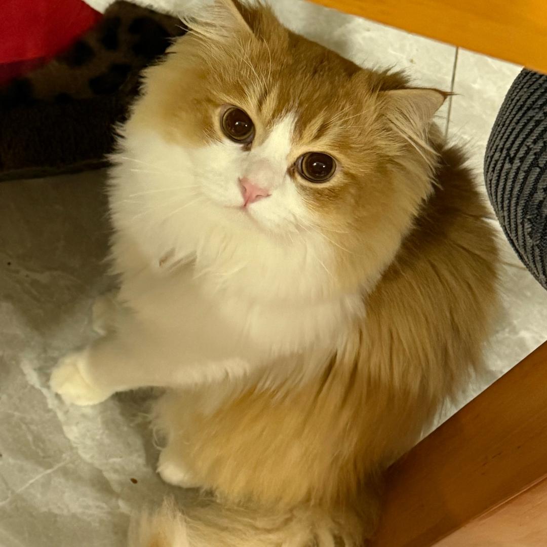 森森-