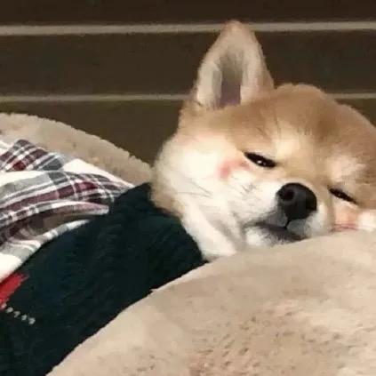 用户1006770221782