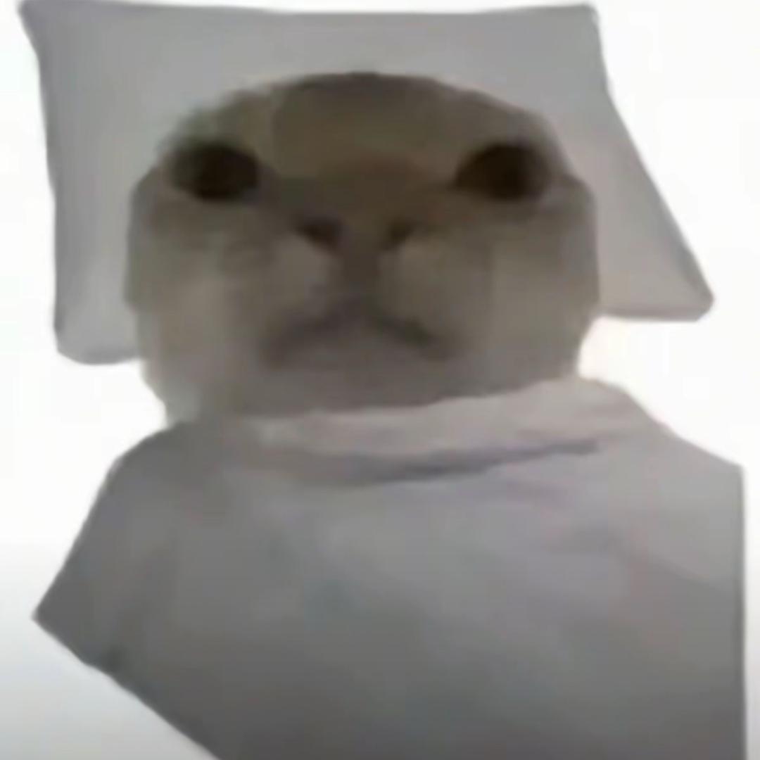 解限机晓建