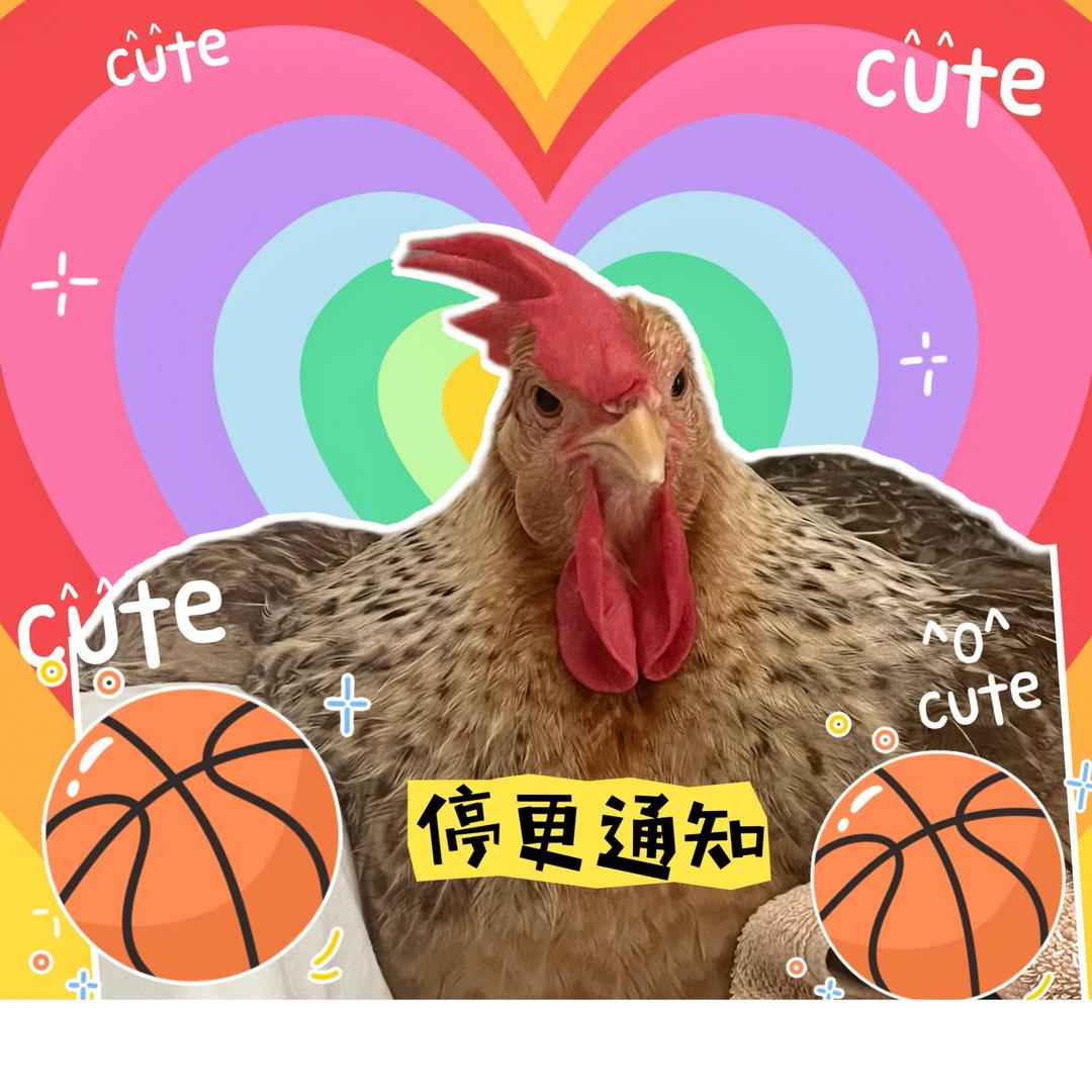 小宠娇