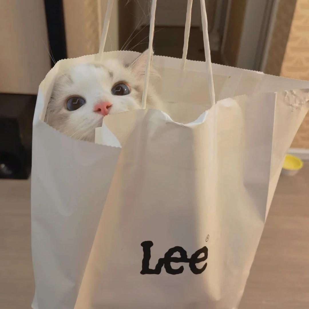 小咪说喵