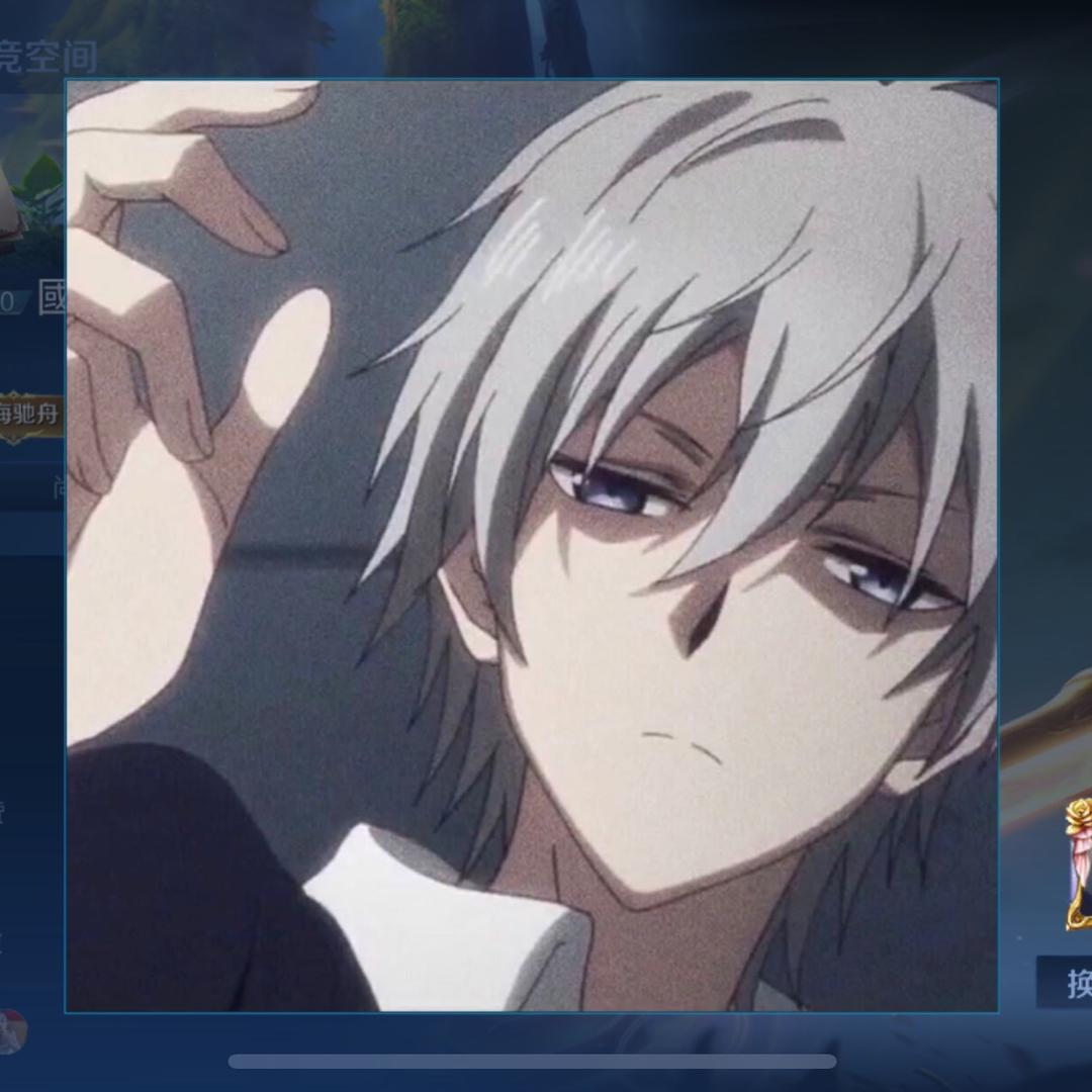 王者荣耀-國服第一帅ღ（美团众包）