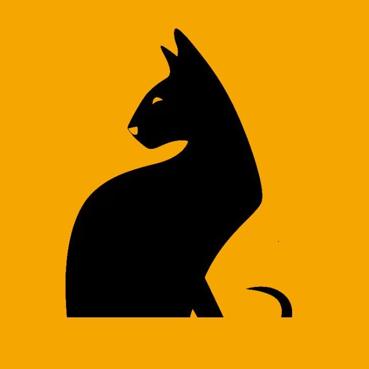 黑猫探影