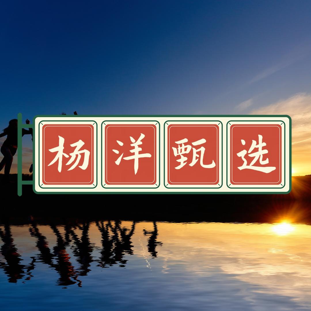 杨洋甄选