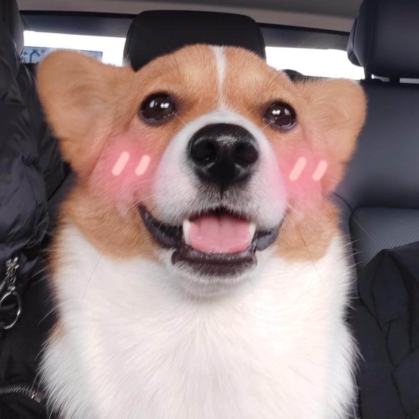 大长腿飞基（见过十勤版）