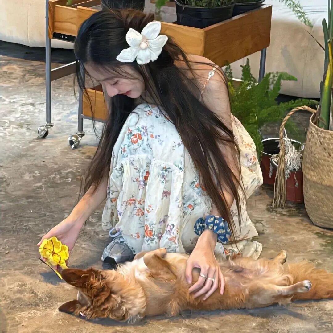 Ⱄⱄᐝ_ 芝柿猫🐾分享