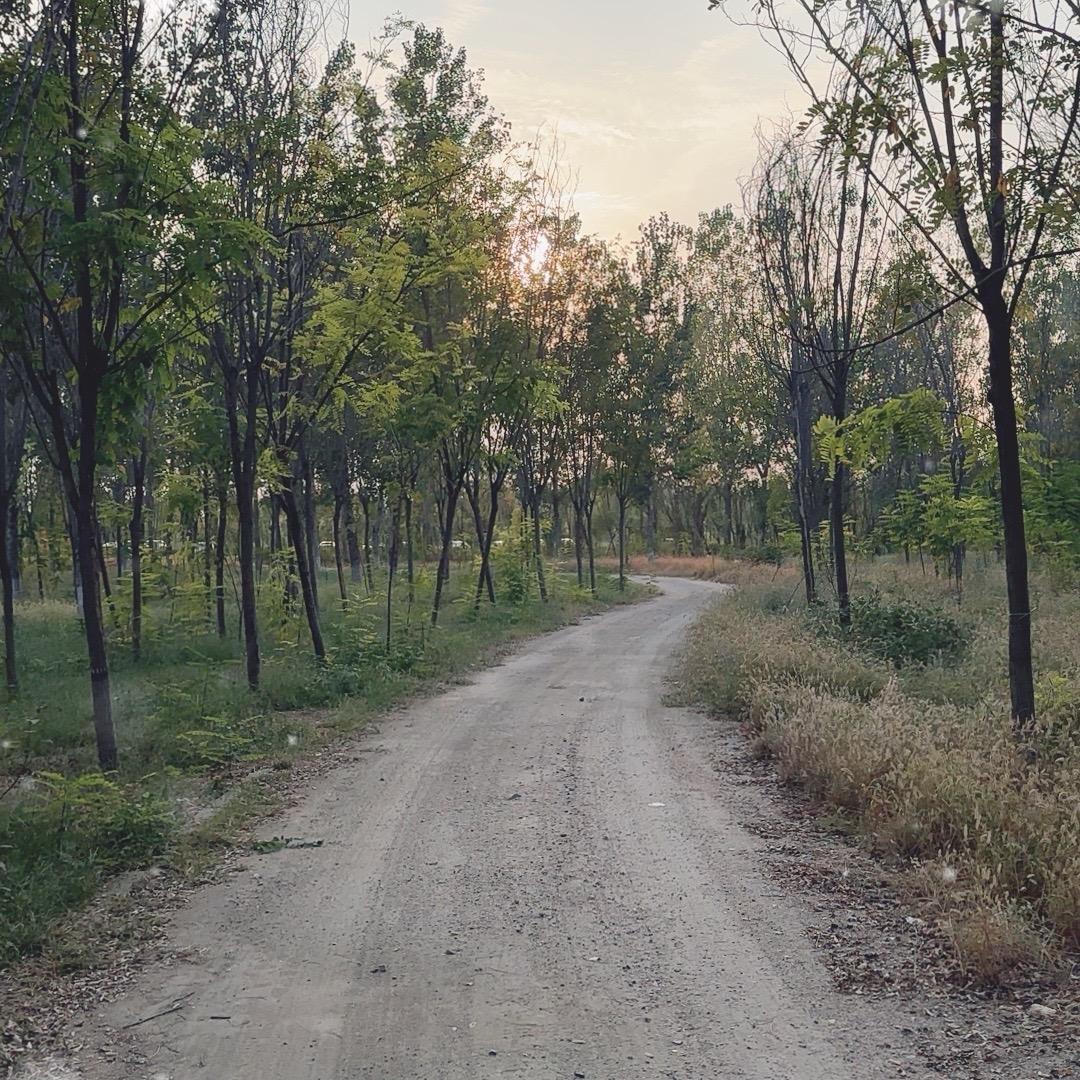 🥋🥅🏏🎽⛸️🥅🛝🥊