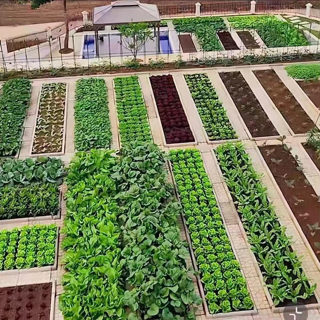 菜园板源头工厂