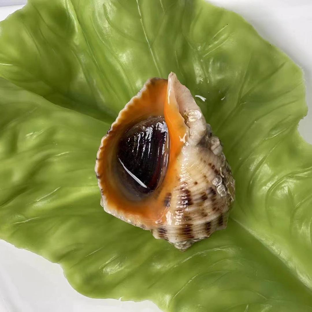 荣盛海产