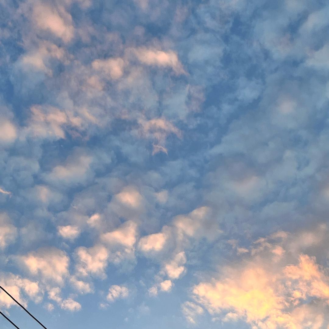 ￴￴￴ ￴￴   ￴ ￴