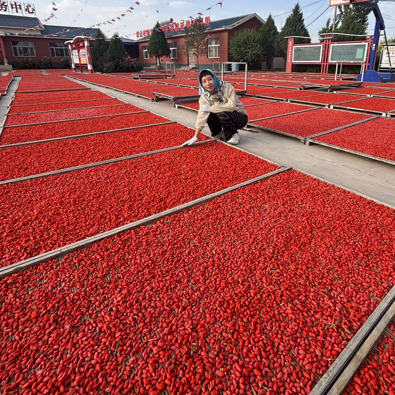 颜姐优质枸杞供应链