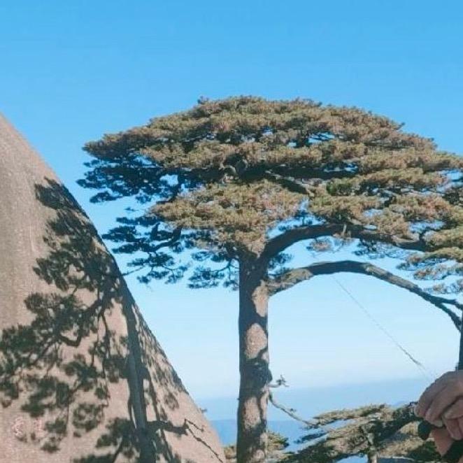 堼孞