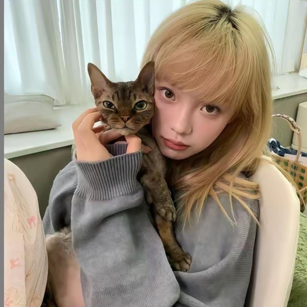 叙呆猫. ᕱ⑅ᕱ