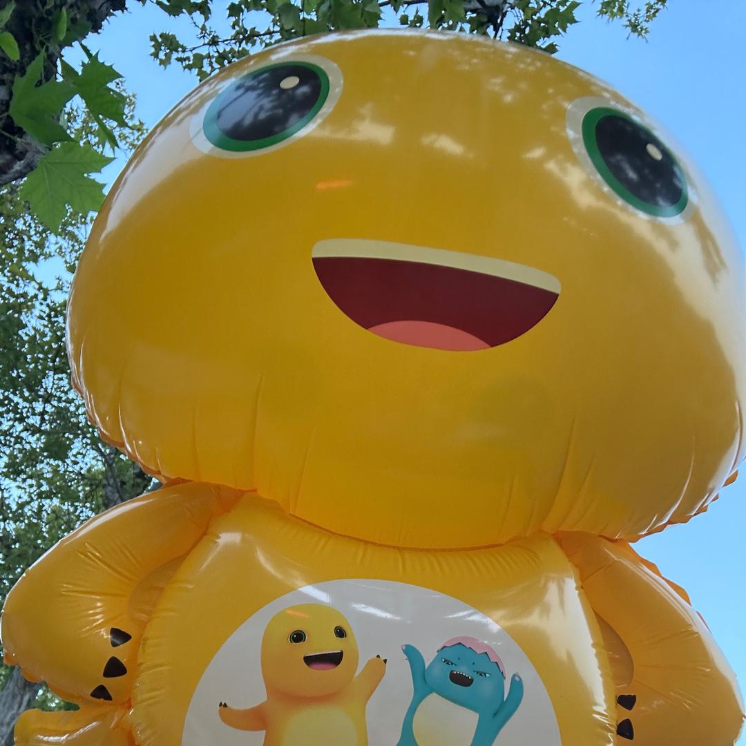 不绝育不结扎
