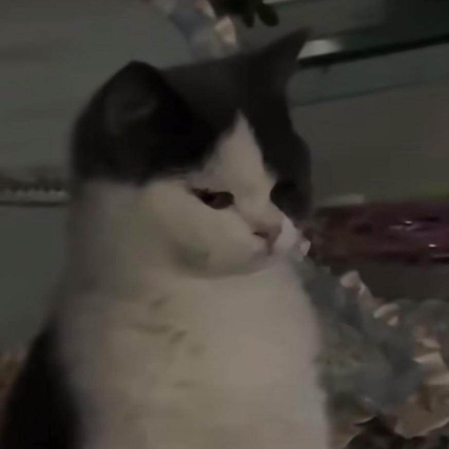 明天有事今天又一宿睡不着觉第二天老疲惫了