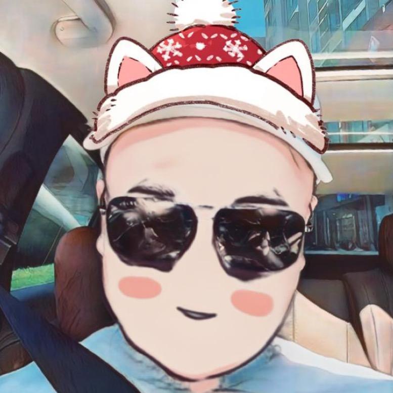 鸿鸿小队长