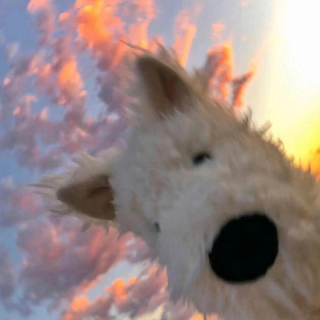 钙片