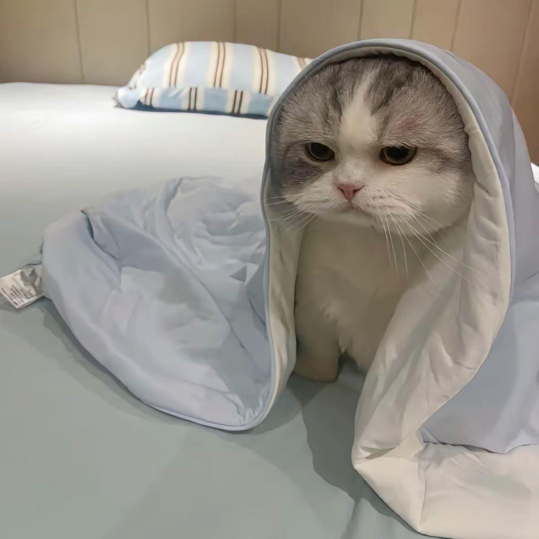 什么如_