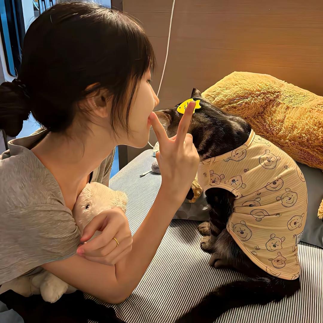 🧸·（减肥版）