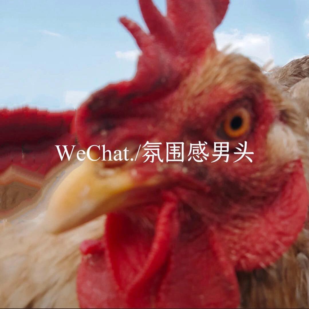 ---展开158条回复