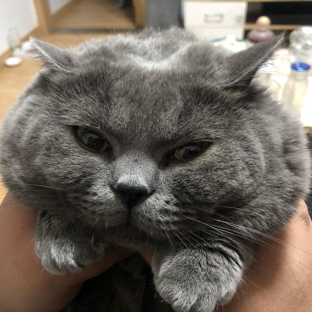 小福叽的某一天